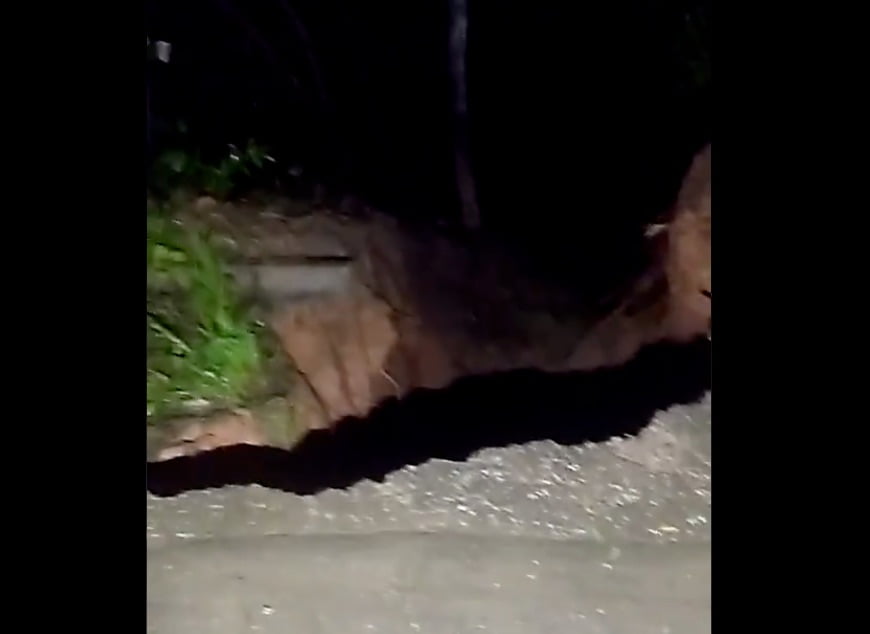 buracos g0060 foto reproducao whatsapp