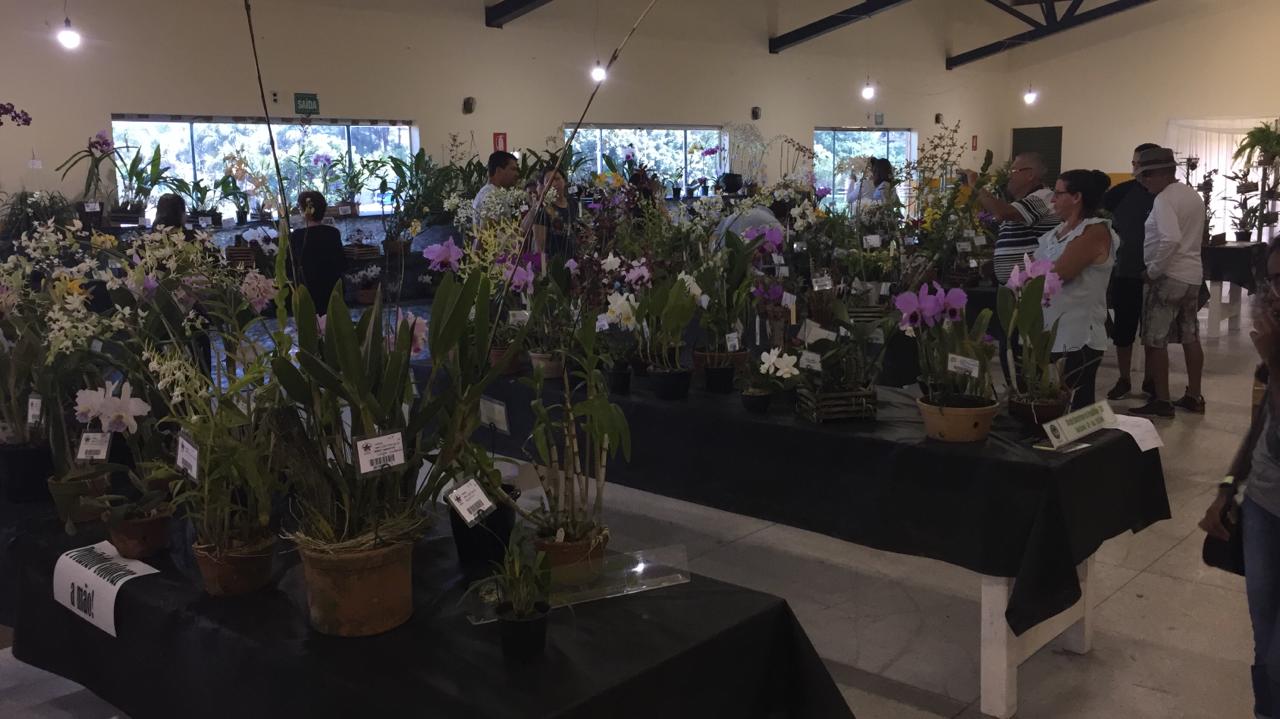 (Foto: Governo do Estado)