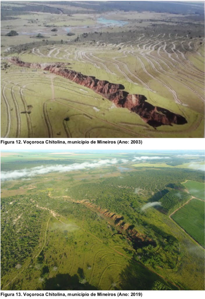 vocorosa chitolina foto dema