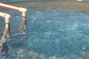 agua eta engopa canedo