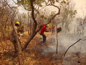 bombeiros goiania