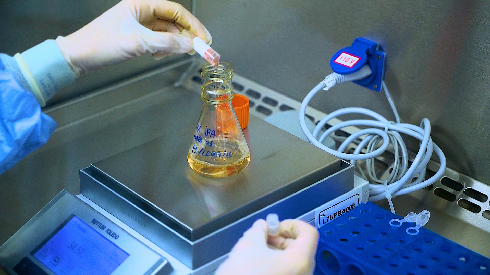 (Foto: Divulgação) 