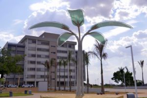 (Foto: Enio Medeiros)