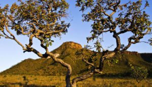 (Foto: Divulgação)