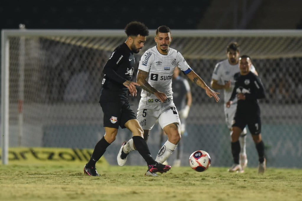 Rosas-vermelhas em formato de coração e com corações brilhantes ao fundo