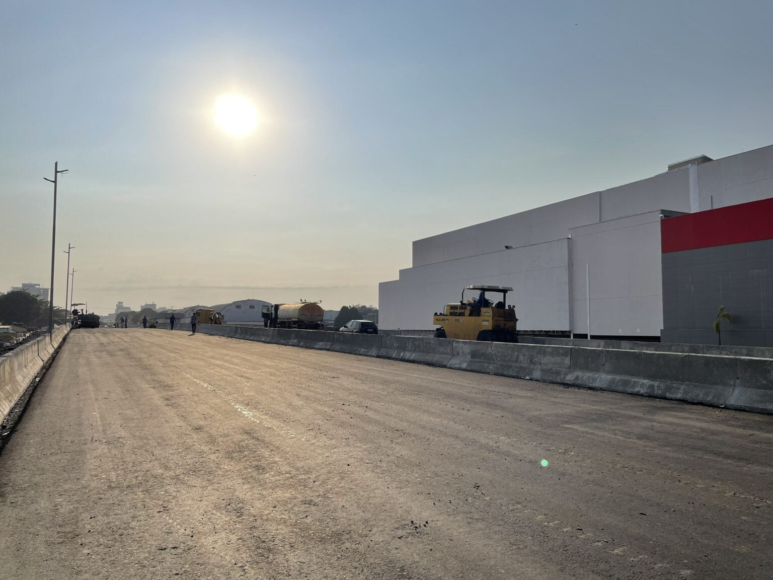 Poodle preto em pé na grama