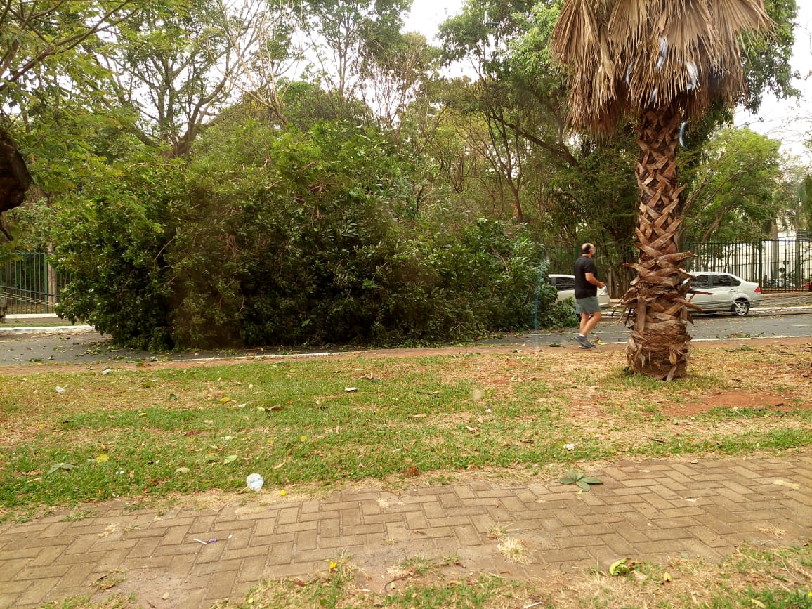 Duas travessas brancas com arroz carreteiro 