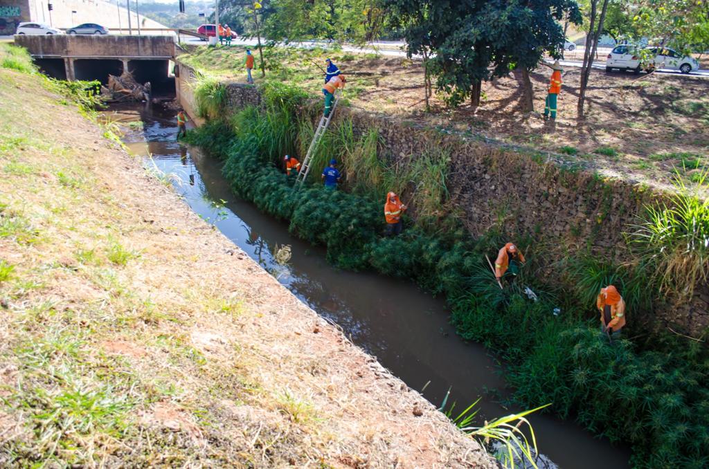 Farofa em pote de madeira