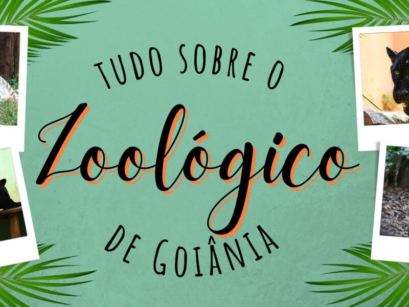 Sobre um fundo verde, há quatro fotos simulando polaroides, sendo duas à direita e duas à esquerda. Nelas, estão animais como macaco, tigre, puma. Ao centro, se lê: Tudo sobre o Zoológico de Goiânia