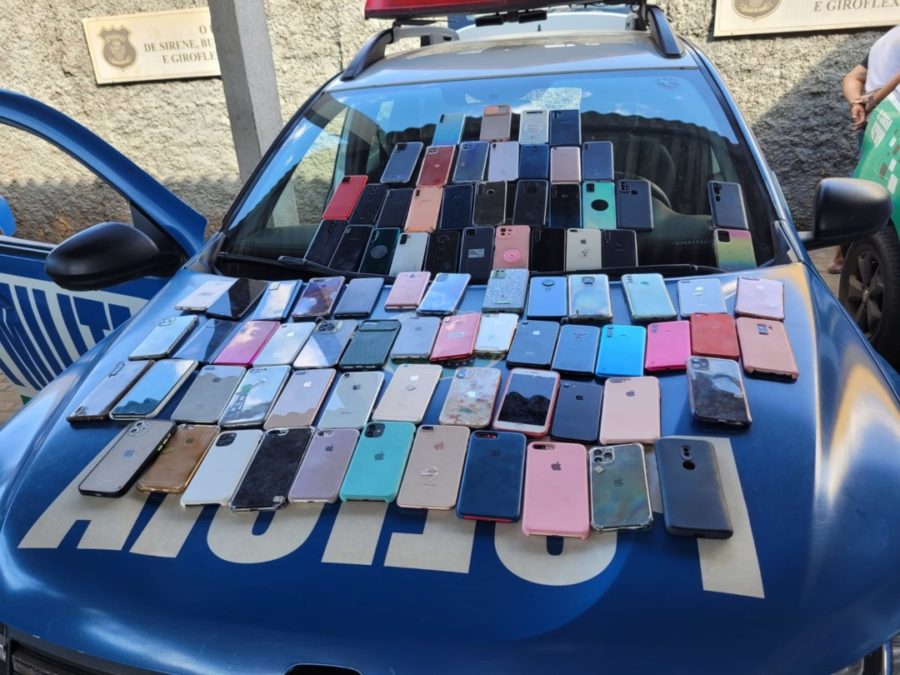 Gato cinza brincando com arranhador