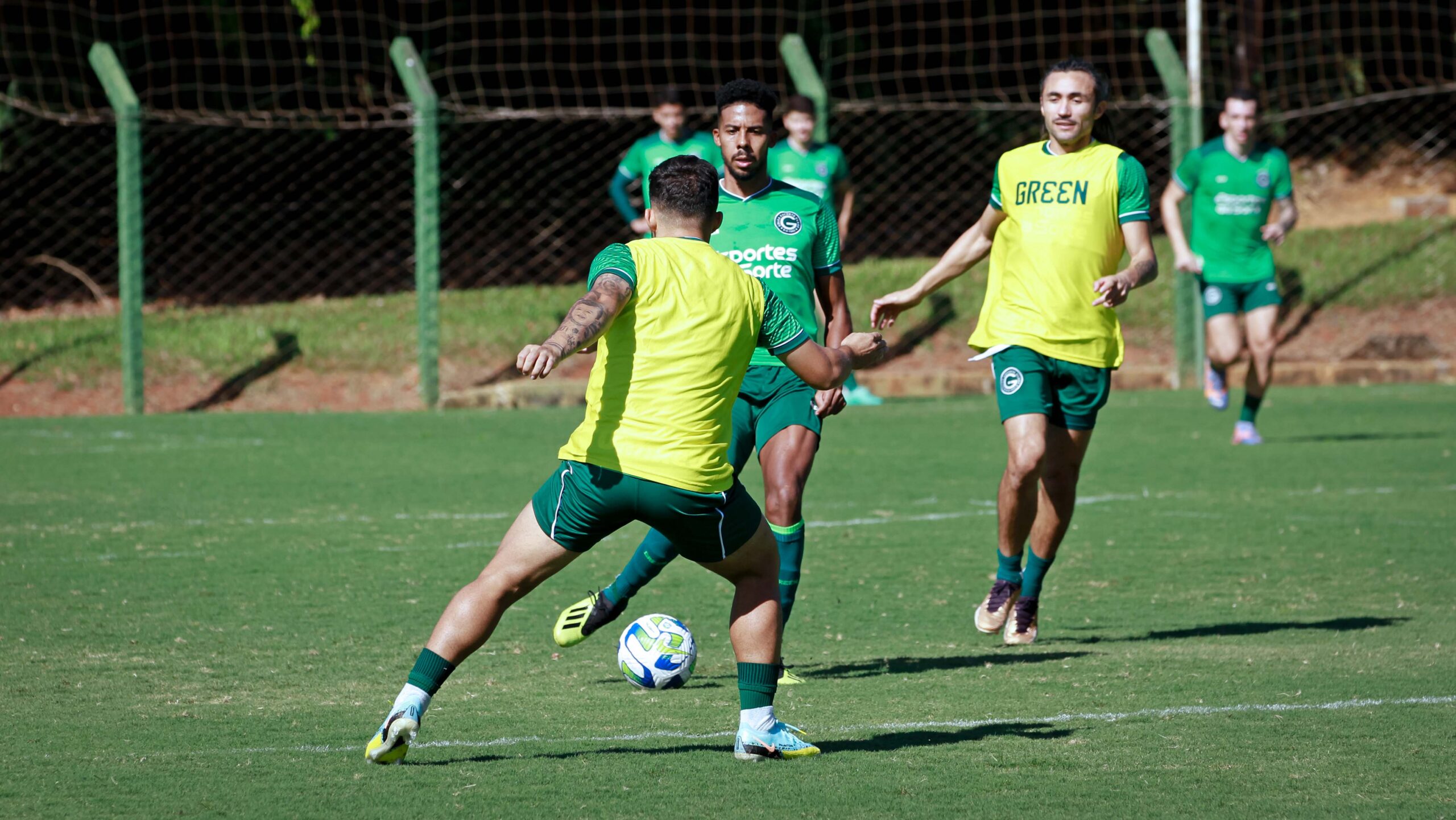 Goiás se prepara para enfrentar o São Paulo pelo Campeonato Brasileiro Série A