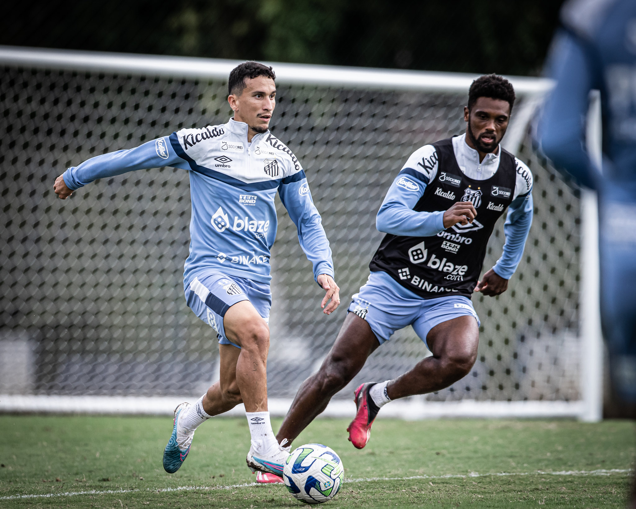 Santos se prepara para enfrentar o Internacional no Campeonato Brasileiro