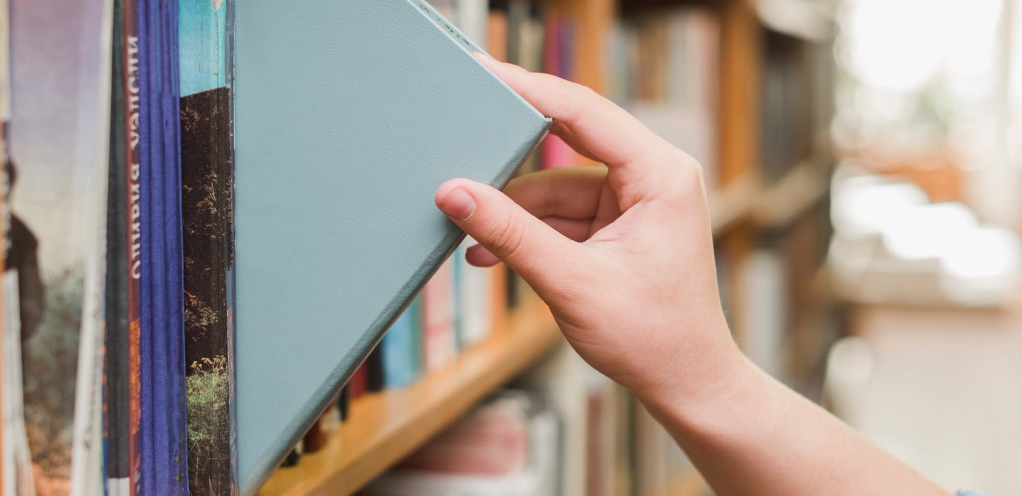 Xícara de vidro com chá de boldo ao lado um vaso de vidro com um galho de boldo