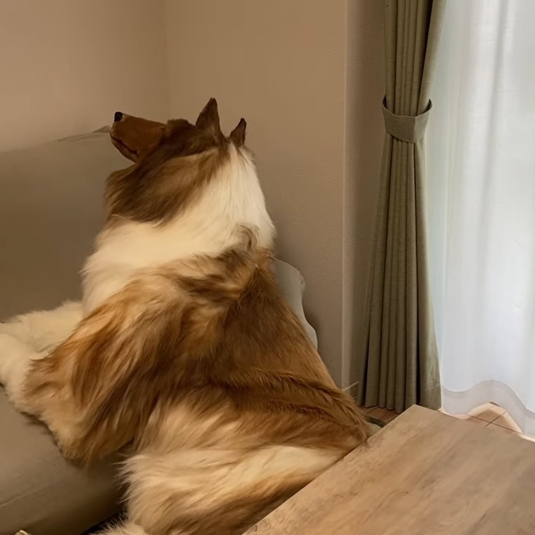 Ilustração do signo de gêmeos em azul em um fundo azul-escuro