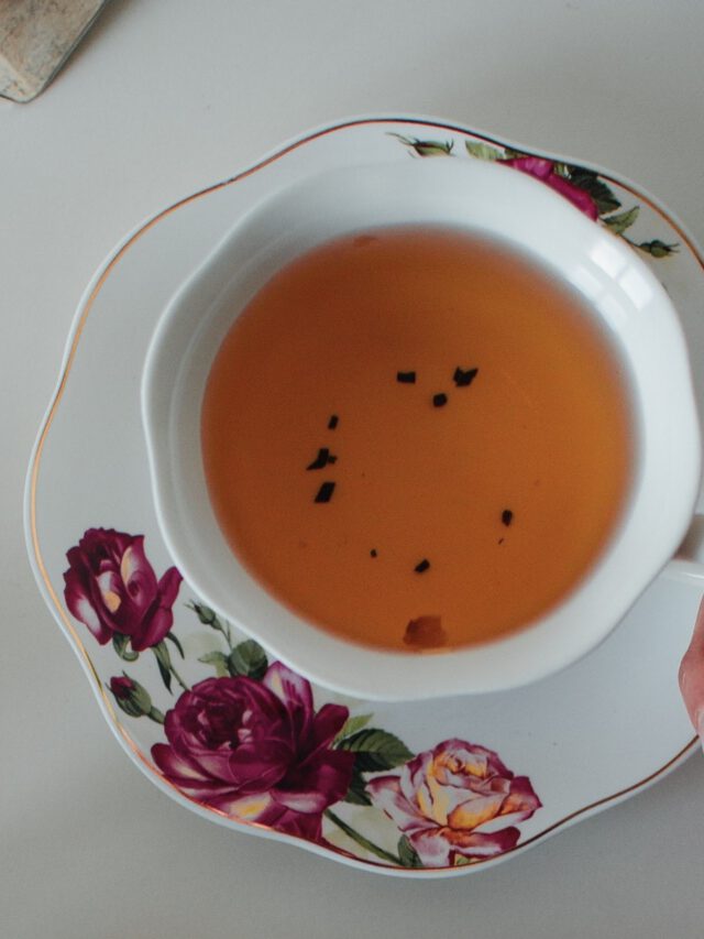 Ilustração do signo de Touro em um círculo branco