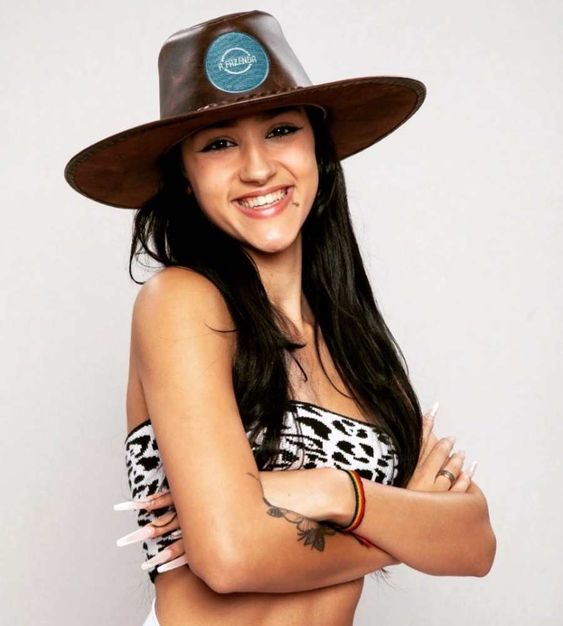 Ilustração do signo de Capricórnio