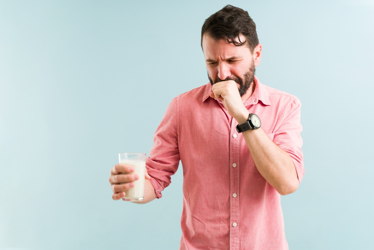 galhos com folhas verdes de arruda