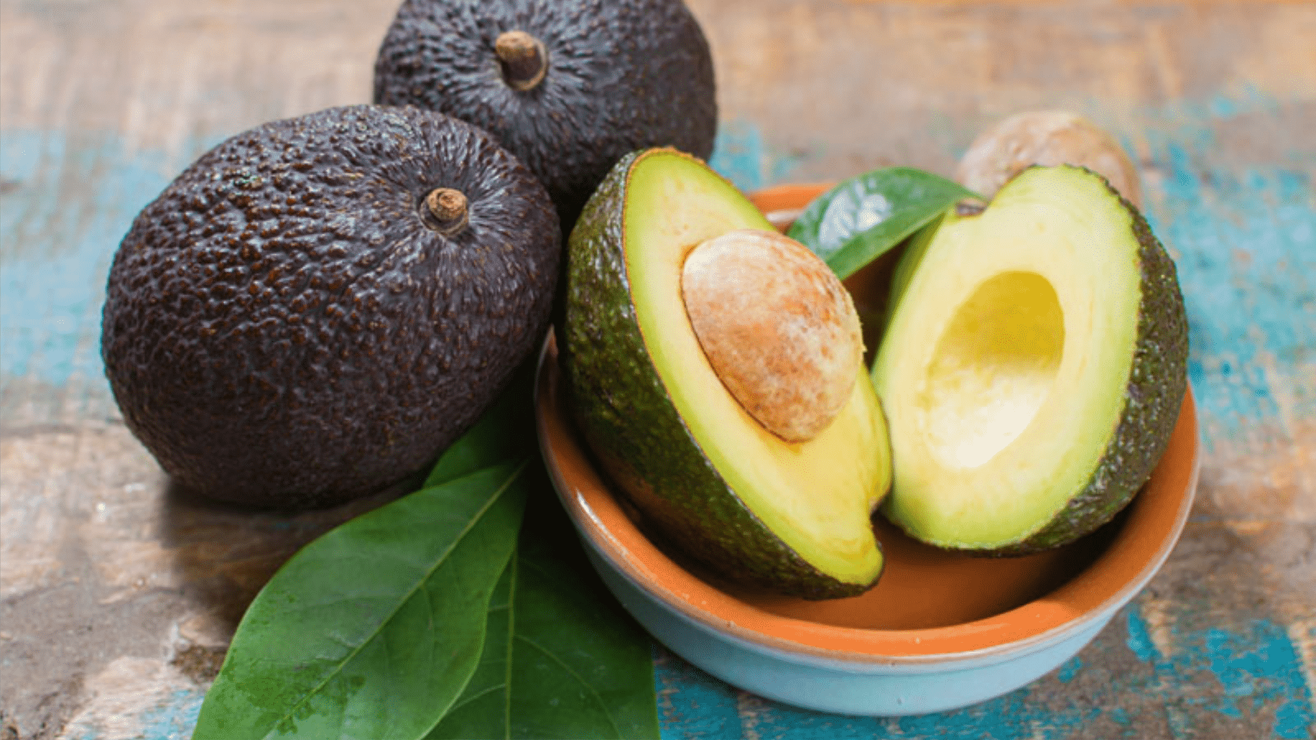 Ilustração do signo de Leão na cor verde em um fundo preto