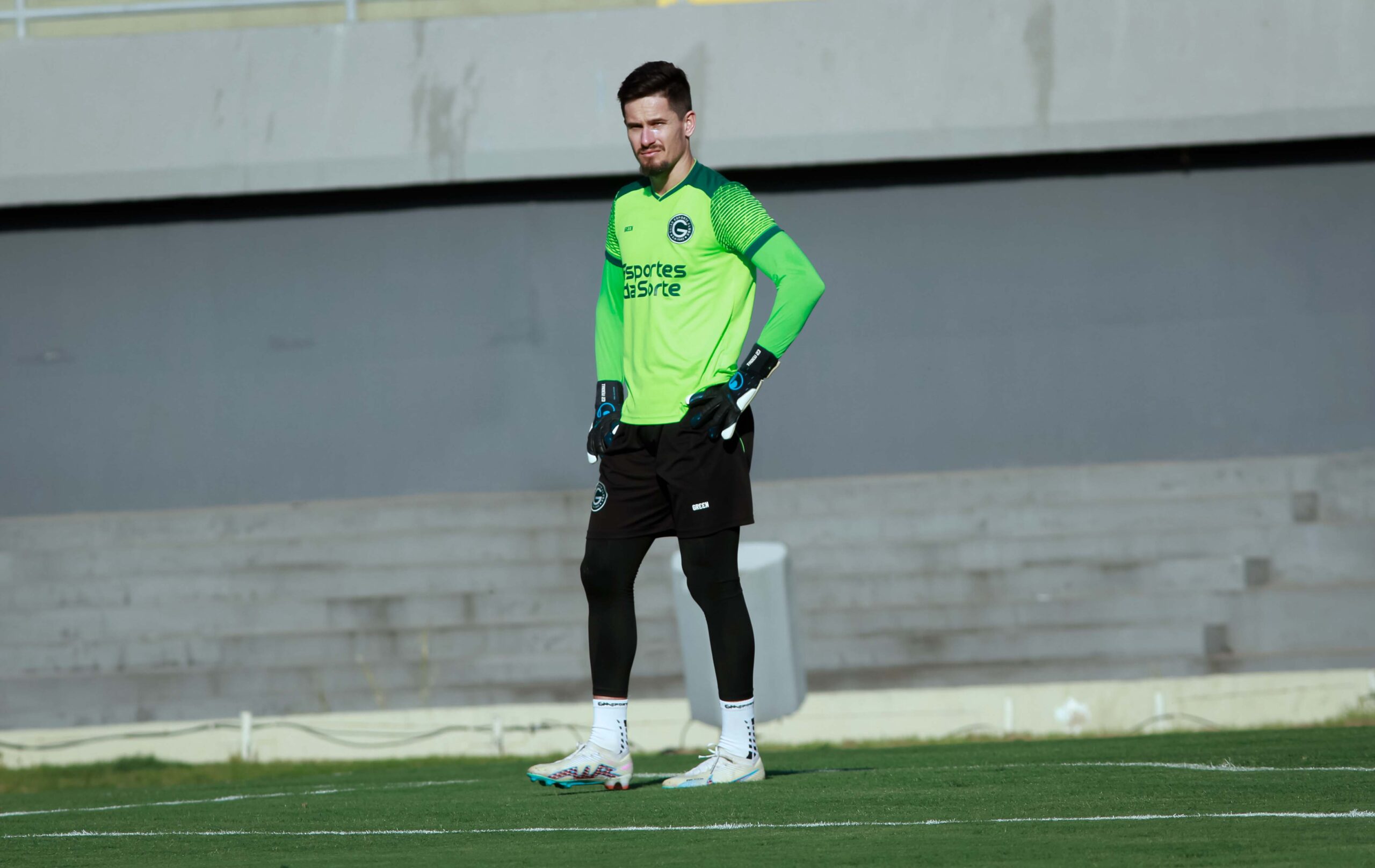 Ilustração do signo de Libra na cor rosa, verde e preto em um fundo rosa