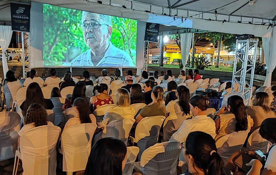 Cavalier king charles spaniel sentado na grama em um parque