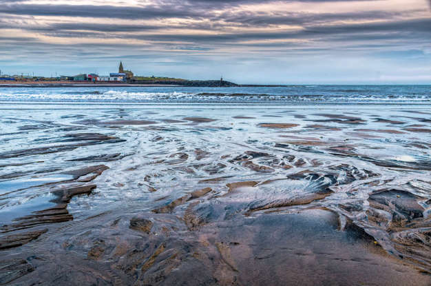 rosto de gato american wirehair deitado. ele é cinza, branco e amarelo