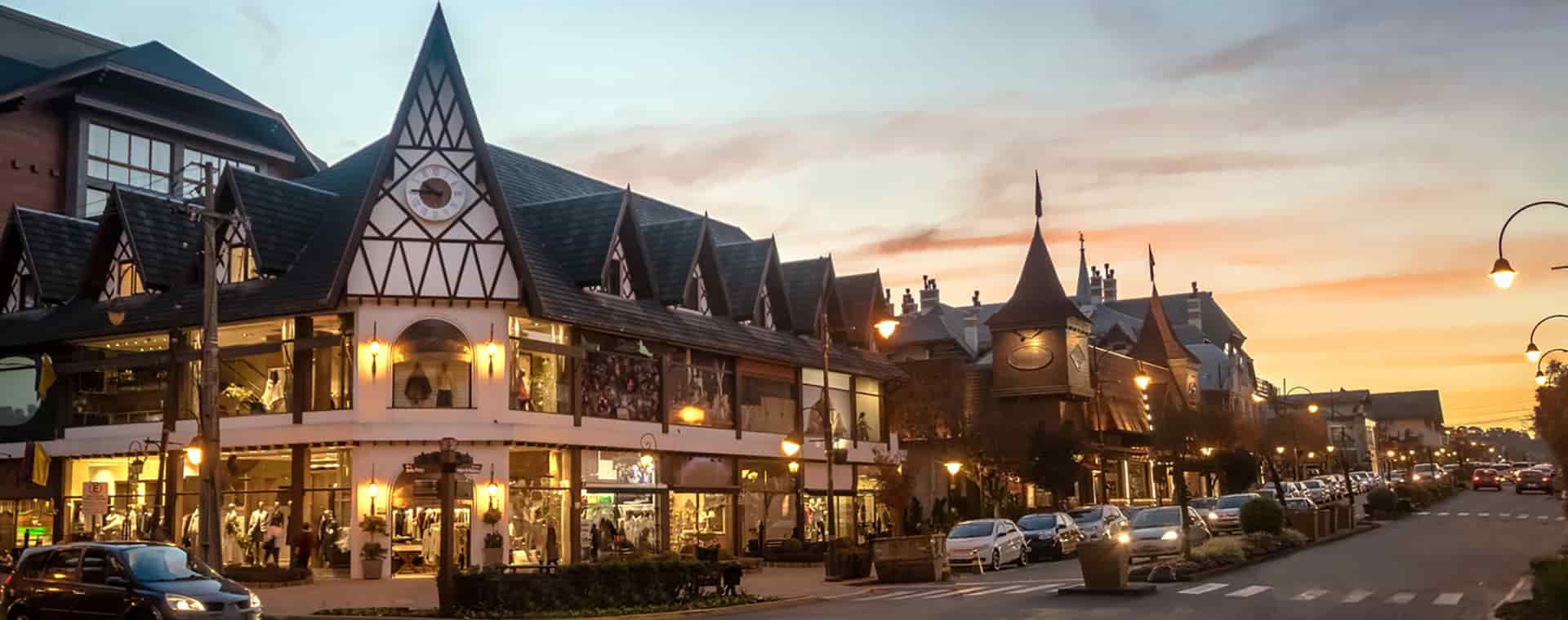 bombaim preto em meio a folhas verde e olhando para cima