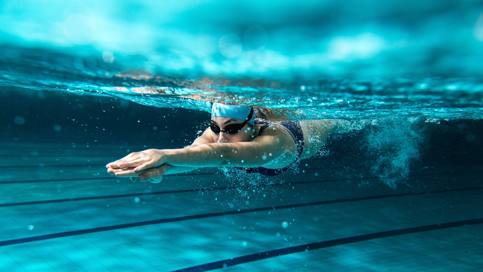 Gato da raça sphynx sentado em tapete 