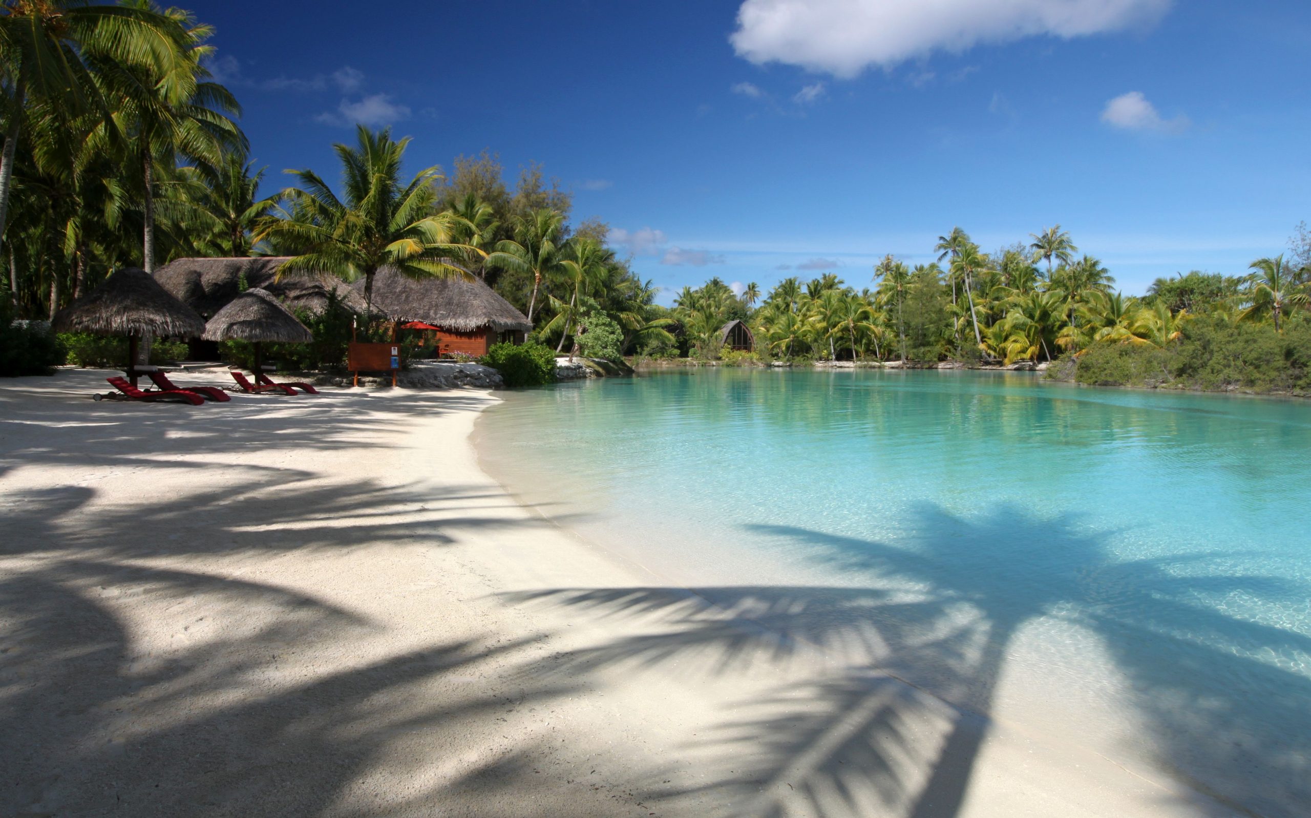 Mesa de festa de casamento decorada com flores 