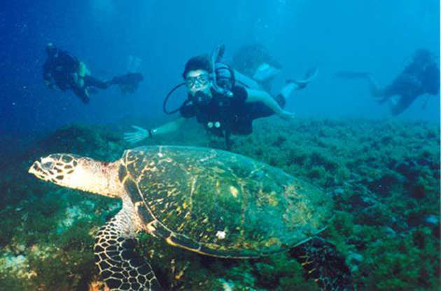Homem no otorrino verificando o aparelho de surdez 