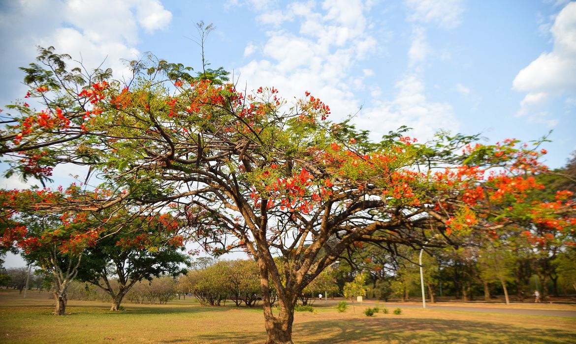 Prepare-se!_A_primavera_traz_calor_ao_Brasil._(5)