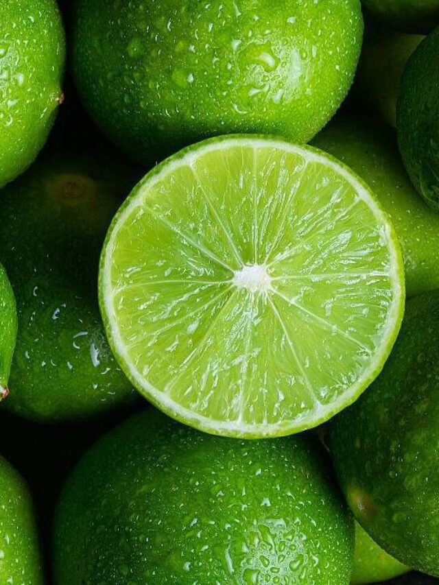 Ilustração com fundo azul do signo de Touro