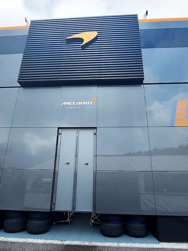 Capa do livro O menino que descobriu as palavras