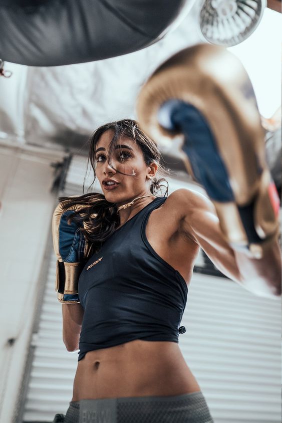 cachorro lulu da pomerânia marrom de fralda e deitado no chão