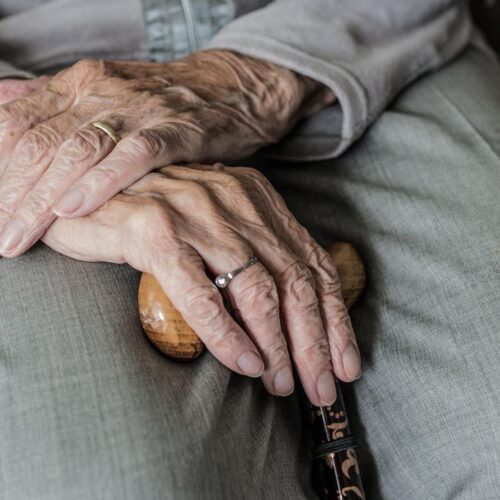 censo ibge 2022 idade idosos centenários