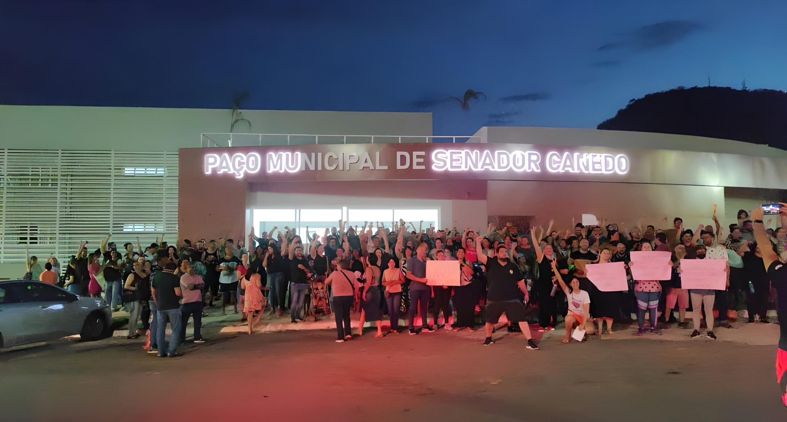 Gato Chartreux deitado em um sofá