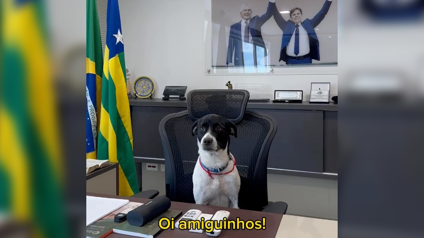 alego joão peixotinho bruno peixoto