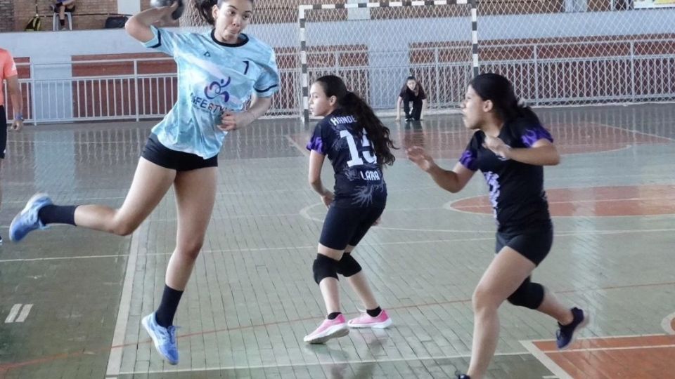 campeonato goiano de handebol feminino. Foto: Federação Goiana de Handebol