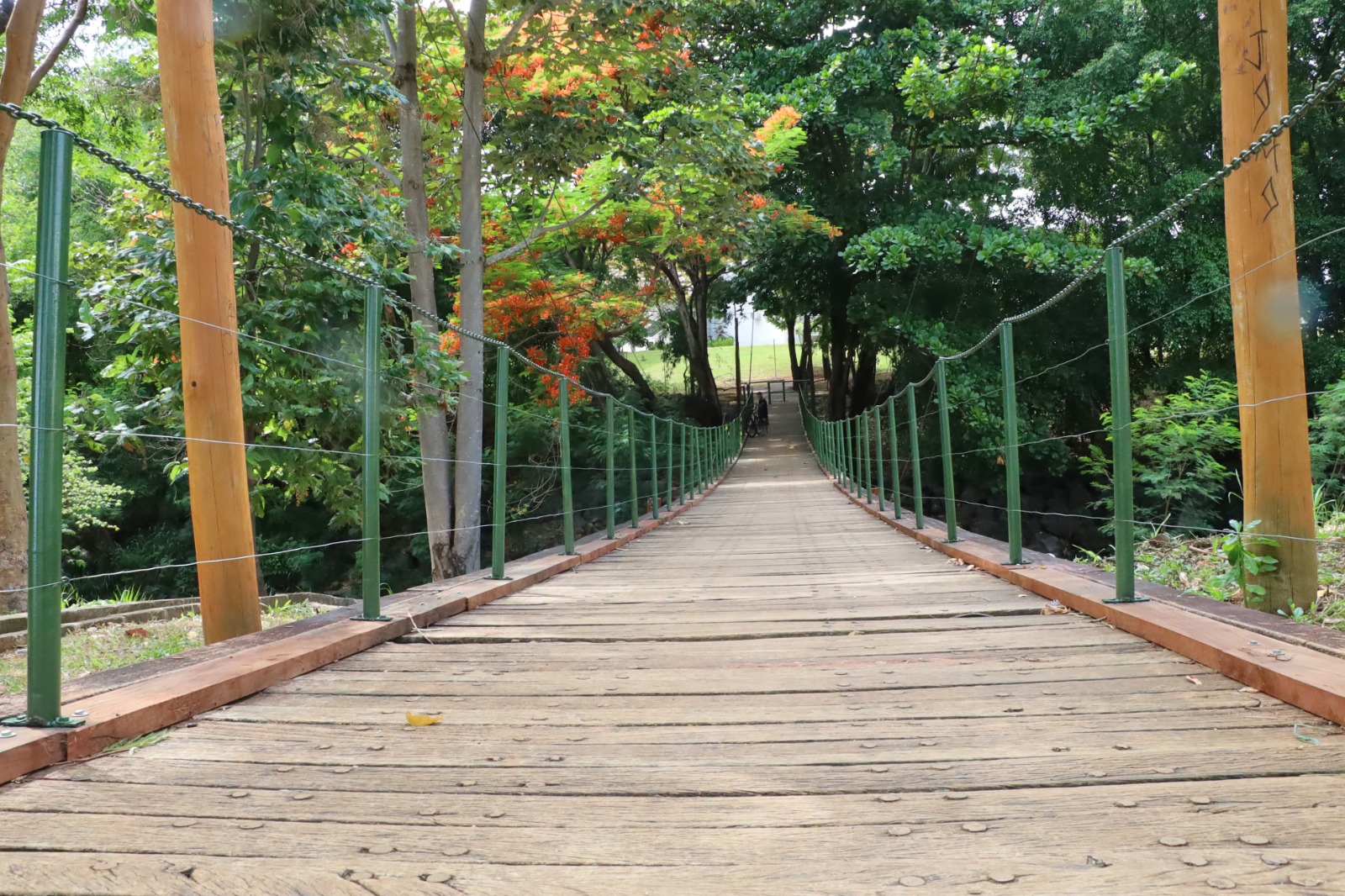 Ponte do Parque Municipal Bernardo Élis. Foto: Amma