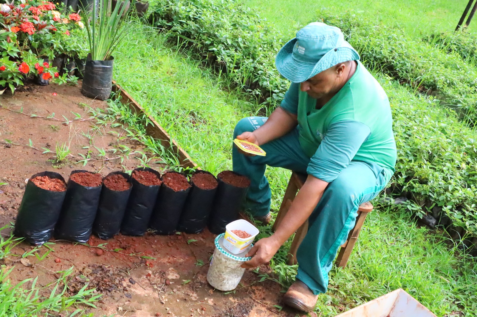 Programa Virada Ambiental incentiva plantio de mudas de árvores em Goiânia. Foto: Paulo José