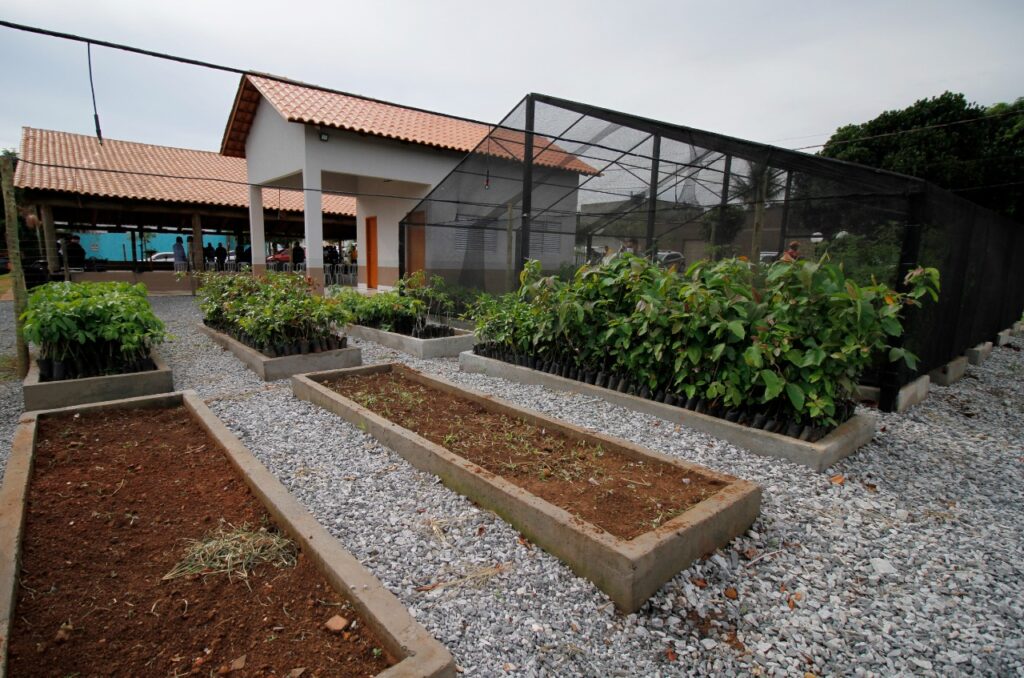 Prefeitura de Aparecida reforça compromisso ambiental com 'Virada Ambiental'