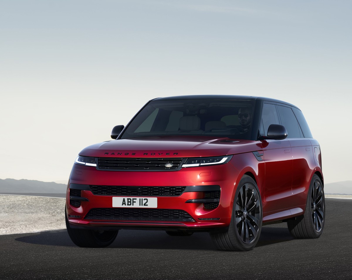 Gato sendo alimentado com comida úmida