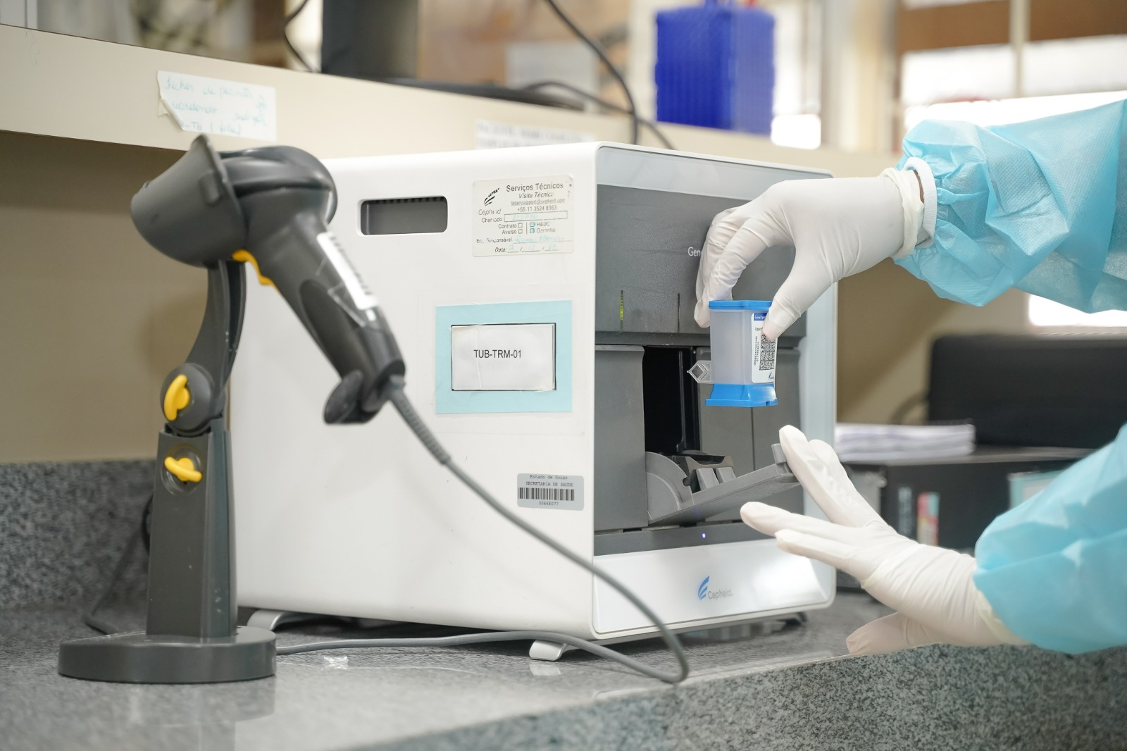 Prato branco com alface, abacaxi, rabanete, frango e chia