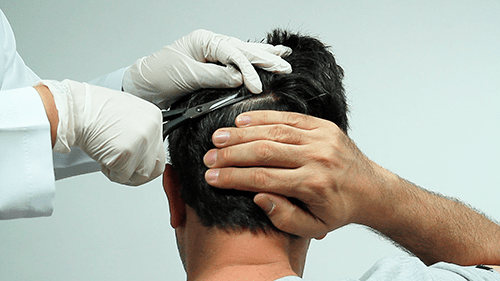 Mulher mexendo no notebook 