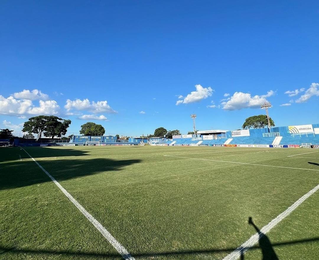 Mulher com cabelo com mecha loira destacada na frente do cabelo, usando uma blusa preta, sorrindo e segurando as pontas dos cabelos com as mãos 