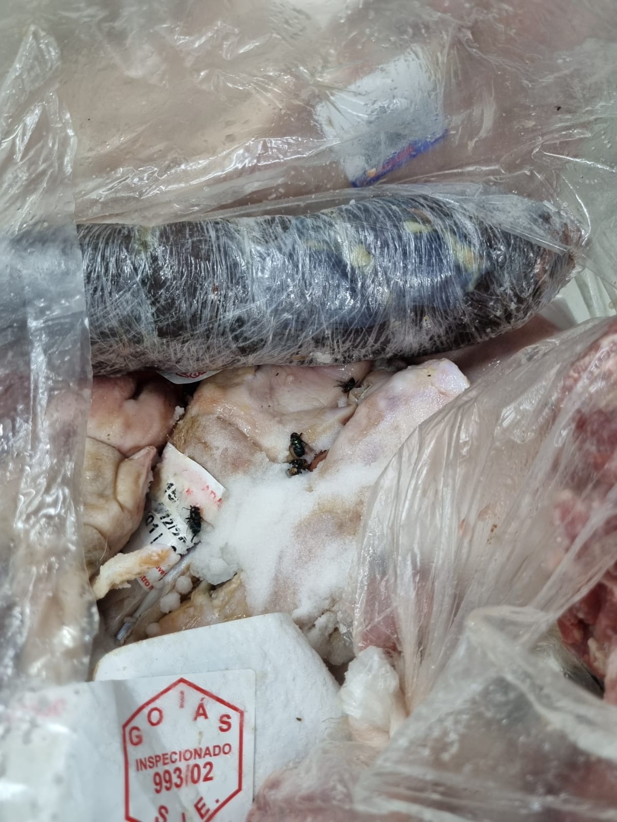 Carnes com mosca apreendidas em supermercado pelo Procon Goiás. Foto: Procon Goiás