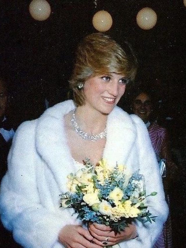 Capa do livro "A jornada do povo de Deus" com a foto de uma pedra e uma paisagem verde em baixo dela ao pôr do sol