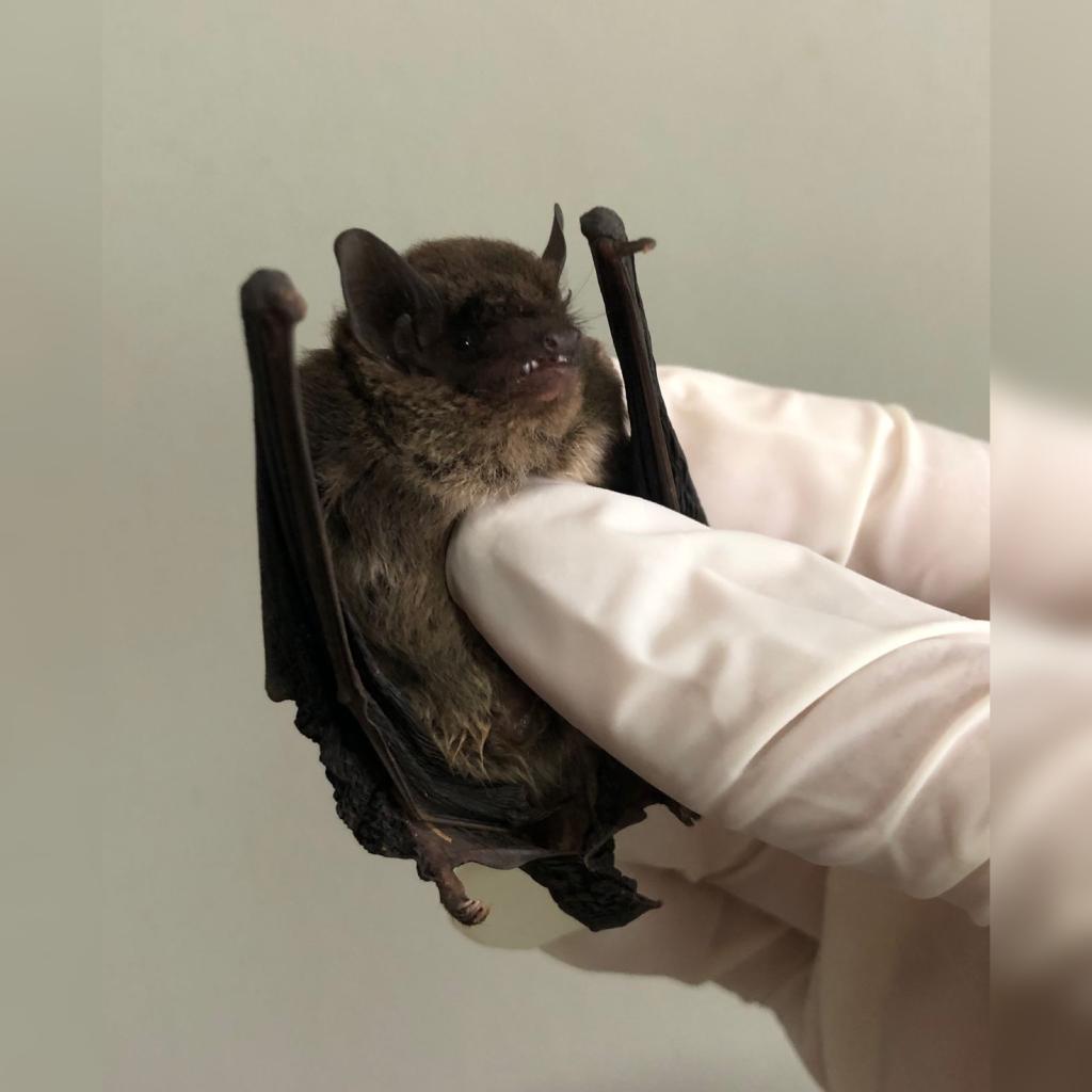 Homem sentado e segurando um peso com um personal trainer do lado 