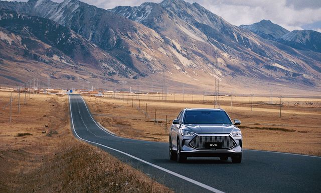 Berinjela recheada com carne moída servido em prato de cerâmica azul-claro