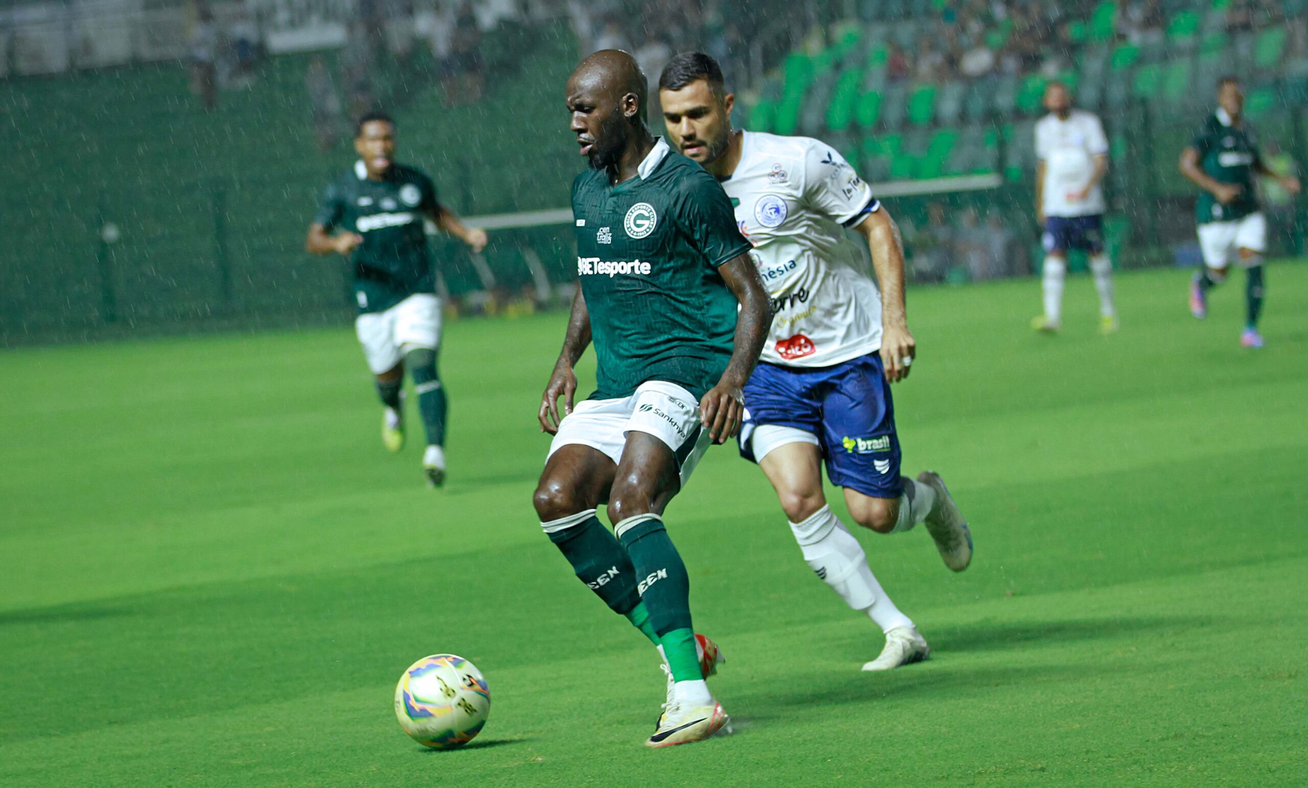 Puma sentado no meio das árvores