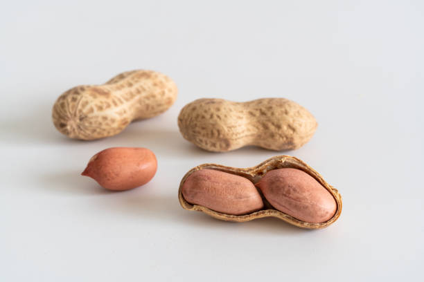 Ilustração minimalista do signo de Gêmeos, com duas faces simétricas em círculo roxo sobre fundo bege